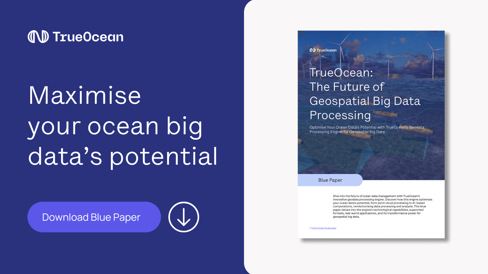 Bluepaper-TrueOcean-Big-Data-Featured-Image