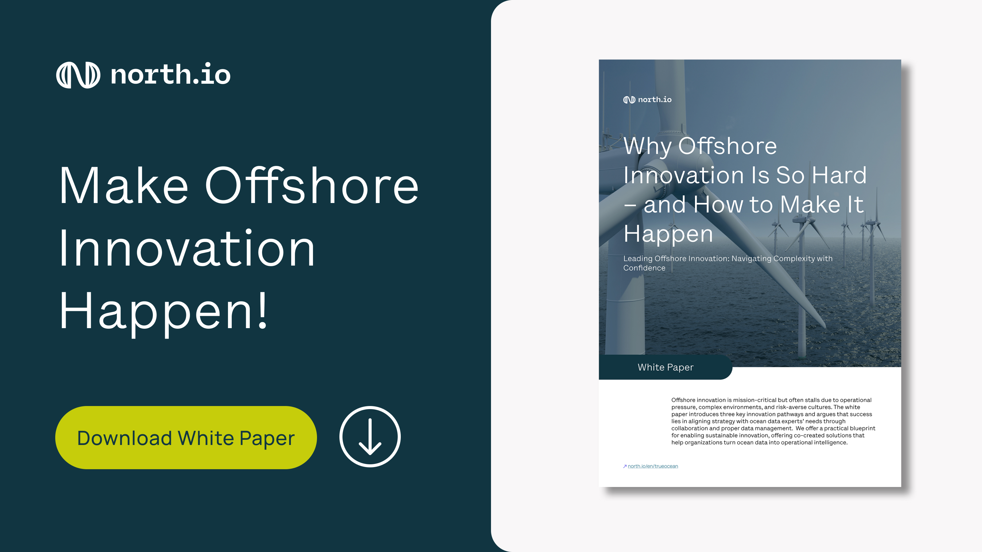 White Paper: Why Offshore Innovation Is So Hard – and How to Make It Happen
